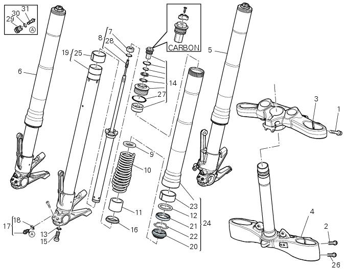 Steering head: front fork