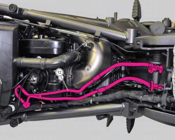 Positioning of the fuel tank breather and drain hoses