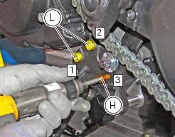 Refitting the shock absorber support