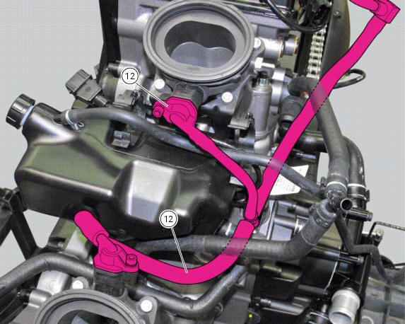 Positioning of the fuel tank breather and drain hoses