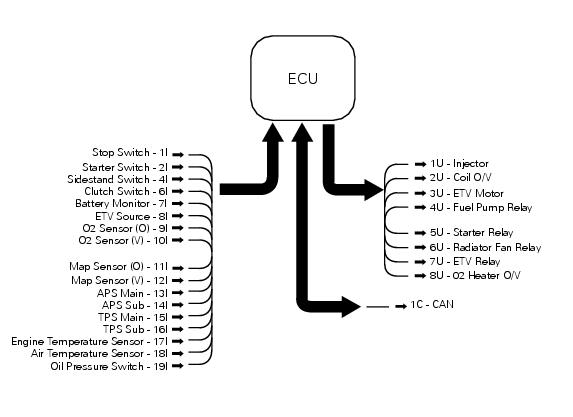 Inputs and outputs of engine control unit and connection to can network